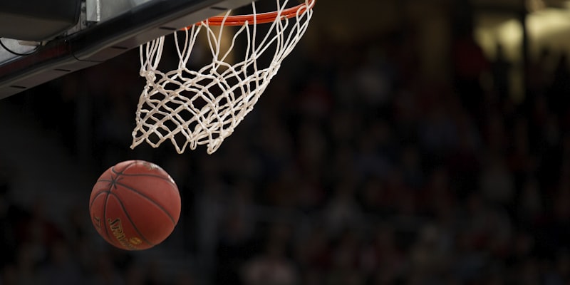 NBA总决赛丹佛掘金队精彩瞬间与战术分析