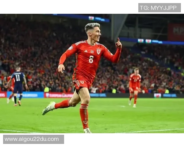 英超联赛中的威尔士球队及其参赛情况