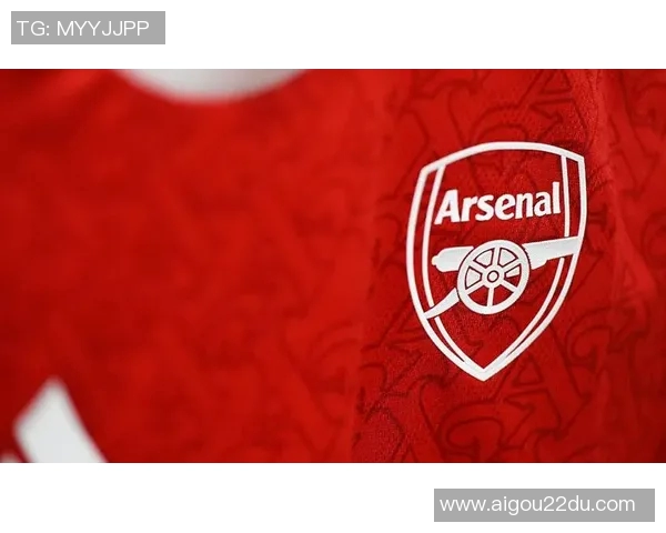 英超球队的视觉识别系统